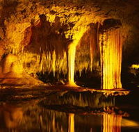 Lake Cave - Accommodation Tasmania
