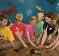 Naturaliste Marine Discovery Centre - Accommodation Tasmania