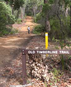 Cundinup WA Accommodation Tasmania
