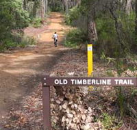 Old Timberline and Sidings Rail Trails - Accommodation Tasmania