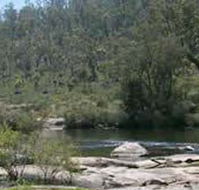 Wellington Discovery Forest - Accommodation Tasmania