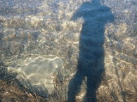 Jervis Bay Stand Up Paddle - Accommodation Tasmania 3