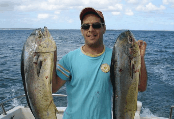 Jervis Bay Fishing and Charters - Accommodation Tasmania