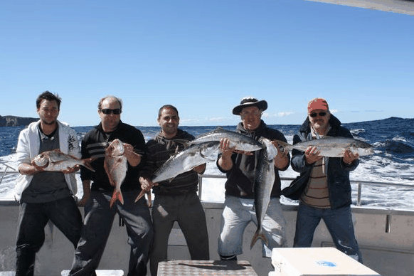 Jervis Bay Fishing And Charters - Accommodation Tasmania 2