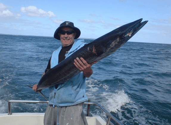 Jervis Bay Fishing And Charters - Accommodation Tasmania 4