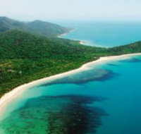 Jungle Tours and Trekking - Accommodation Tasmania