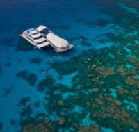 Great Adventures Reef and Green Island Cruises - Accommodation Tasmania