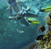 Calypso Reef Charters - Accommodation Tasmania