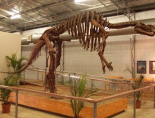 Australia's Dinosaur Trail - Accommodation Tasmania 0