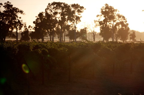 Evans & Tate - Accommodation Tasmania 0