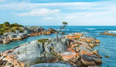 Binalong Bay