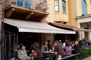 Dogs Bar - Accommodation Tasmania 0