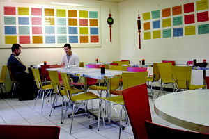 Shanghai Noodle House - Accommodation Tasmania 0