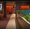 AB Hotel - Accommodation Tasmania