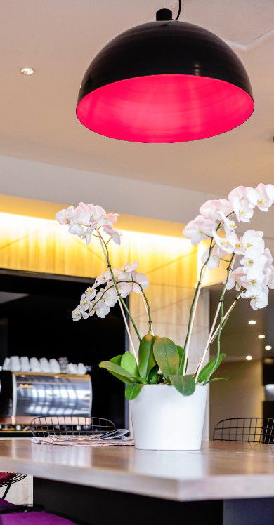 MRepublic Restaurant, Bar And Lounge - Accommodation Tasmania 4