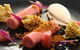 Room81 - Lounge Bar Dining - thumb 5