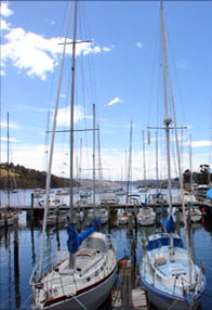  Accommodation Tasmania