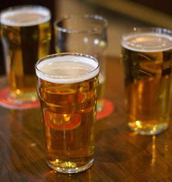 Globe Hotel - Accommodation Tasmania 1