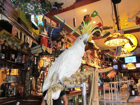 A Friend In Hand - Accommodation Tasmania 0