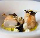 JAM Corner - Accommodation Tasmania