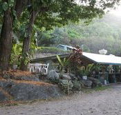 Ellis Beach Bar  Grill - Accommodation Tasmania