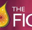 Pickled Fig - Accommodation Tasmania