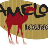 Camelot Lounge - Accommodation Tasmania