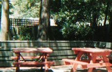 The Grand Hotel Healesville - Accommodation Tasmania 2