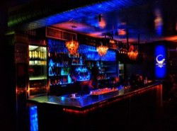 Iguana Bar - Accommodation Tasmania 2