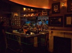 Iguana Bar - Accommodation Tasmania 3