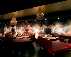 Dome Bar - Accommodation Tasmania 3