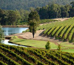 Charley Creek WA Accommodation Tasmania