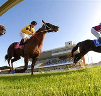 Wyong Race Club - Accommodation Tasmania