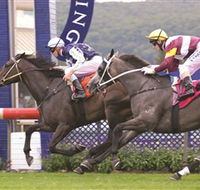 Gosford Race Club - Accommodation Tasmania