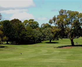 Cooma Golf Club - Accommodation Tasmania 1