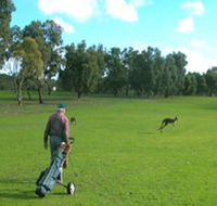 Coffin Bay Golf Club - Accommodation Tasmania