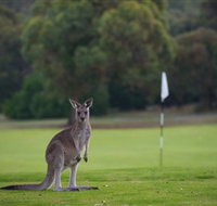 Anglesea Golf Club - Accommodation Tasmania