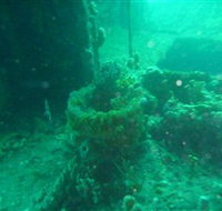 Wallaroo Scuba Club - Accommodation Tasmania