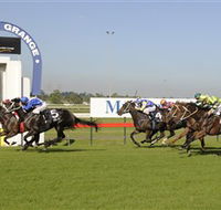 Kembla Grange Racecourse - Illawarra Turf Club - Accommodation Tasmania