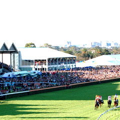 South Australian Jockey Club - Accommodation Tasmania 0