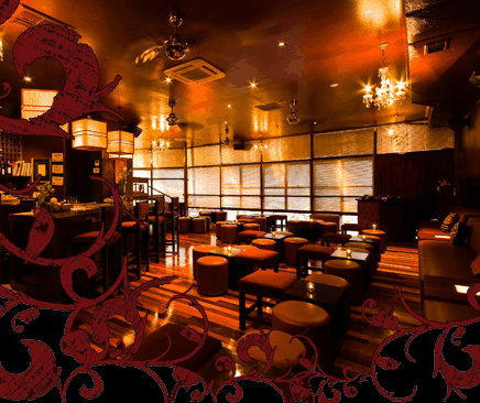 Hippo Lounge Bar - Accommodation Tasmania