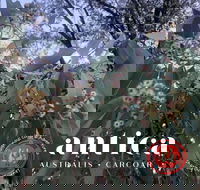 Antica Australis - Winter Fire Festival - Accommodation Tasmania