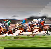 Grafton July Racing Carnival - Accommodation Tasmania