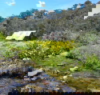 Hedonistic Hiking's Falls Creek to Hotham - Accommodation Tasmania