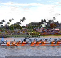 Jacaranda Dragon Boat Races - Accommodation Tasmania