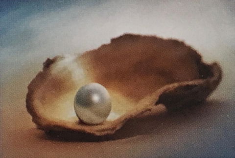 Lecture Cancelled:  ADFAS  Lecture (Half-Day) - Patricia Law Speaking On Pearls And Diamonds - Accommodation Tasmania 0