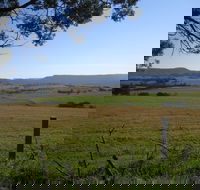 Milton Village Showground Markets - Accommodation Tasmania