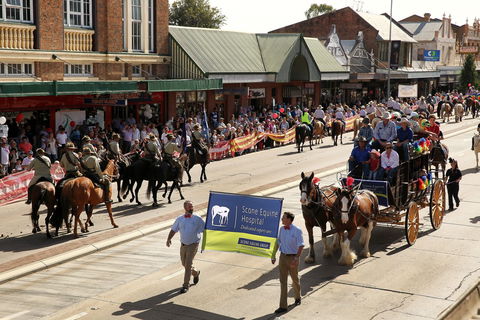 Scone Horse Festival - Accommodation Tasmania 0