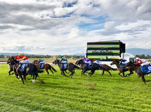 Scone Horse Festival - Accommodation Tasmania 2