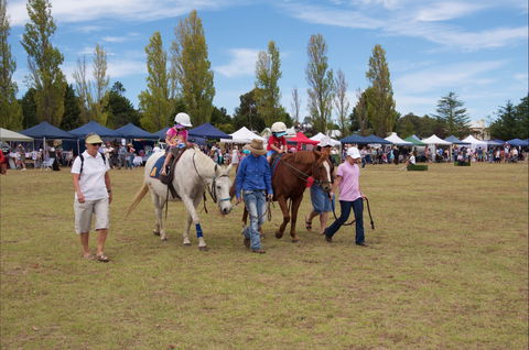 Seasons Of New England Expo - Accommodation Tasmania 2